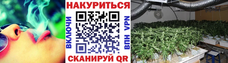 Конопля ГИДРОПОН Псков